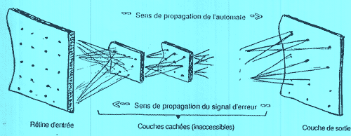 Fig.2 : Apprentissage par rétropropagation du signal d'erreur